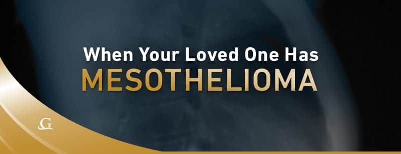 Human X-ray Stock Photo