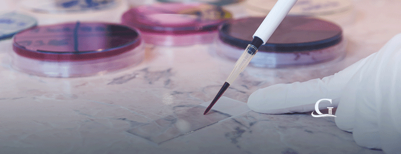 Scientist Working In A Lab Stock Photo