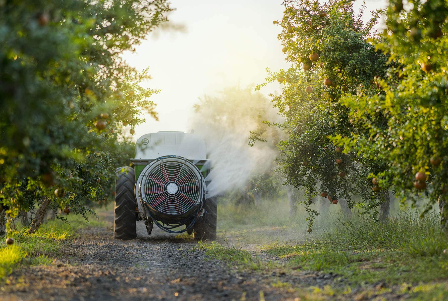 farmer spraying Roundup® weed killer on crops